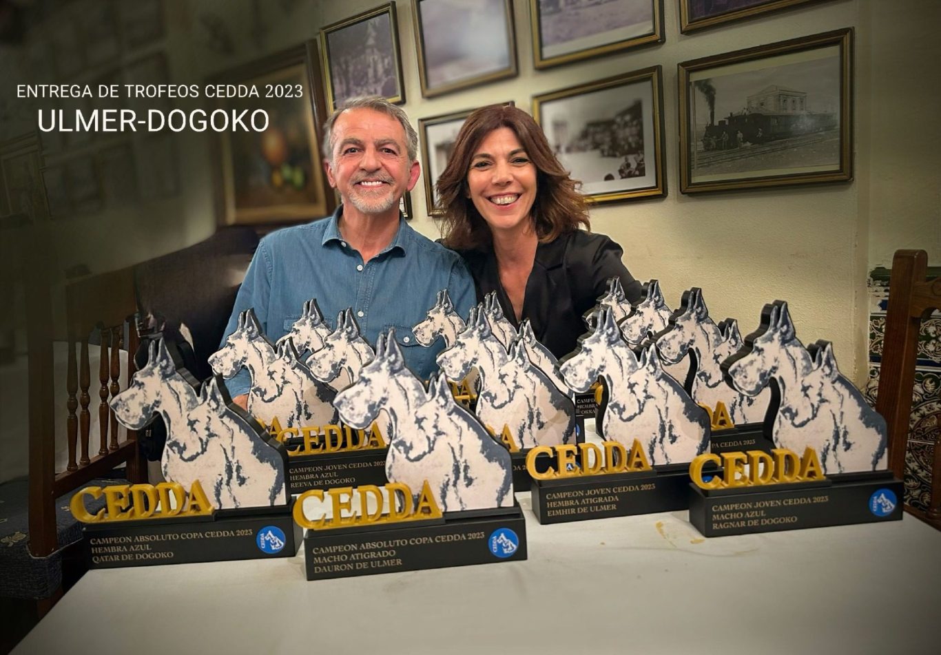 TOFEOS CEDDA 2023, COPA CEDDA Y CAMPEON DE CLUB DEL DOGO ALEMAN ESPAÑOL CEDDA