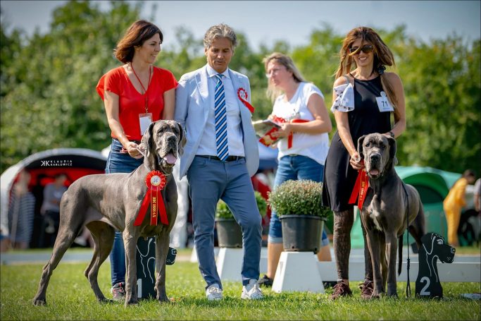 ESXPOSICIONES EuDDC, EXPOSICION EN FRANCIA DE DOGOS ALEMANES 